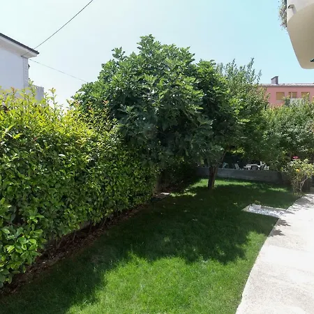 Guest house Aml 4*